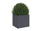 Anthracite planter 32x30x29 cm cold-rolled steel DOTY26551