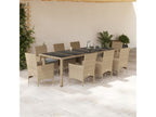 9-piece beige rattan and glass garden dining set and cushions RFBL36575