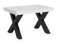 Extendable table 90x120/224 cm Boisona White Ash frame Anthracite PBVJ49612