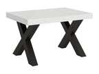 Extendable table 90x120/224 cm Boisona White Ash frame Anthracite PBVJ49612